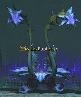 Sporge